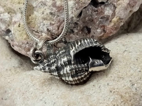 Shell Pendant