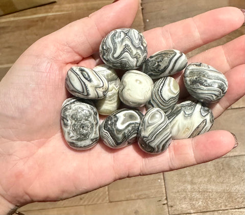 Zebra Jasper Tumbled