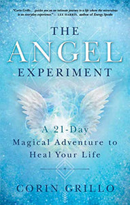 The Angel Experiment