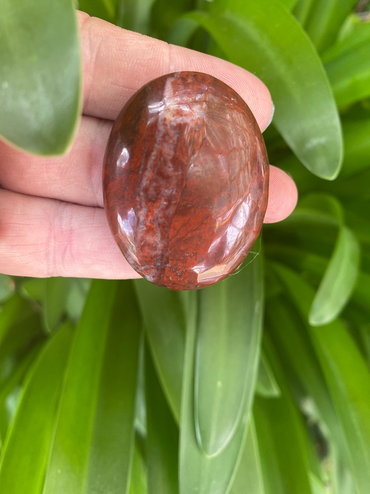 Green and red on sale jasper