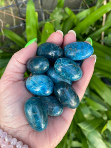 Apatite Tumbled