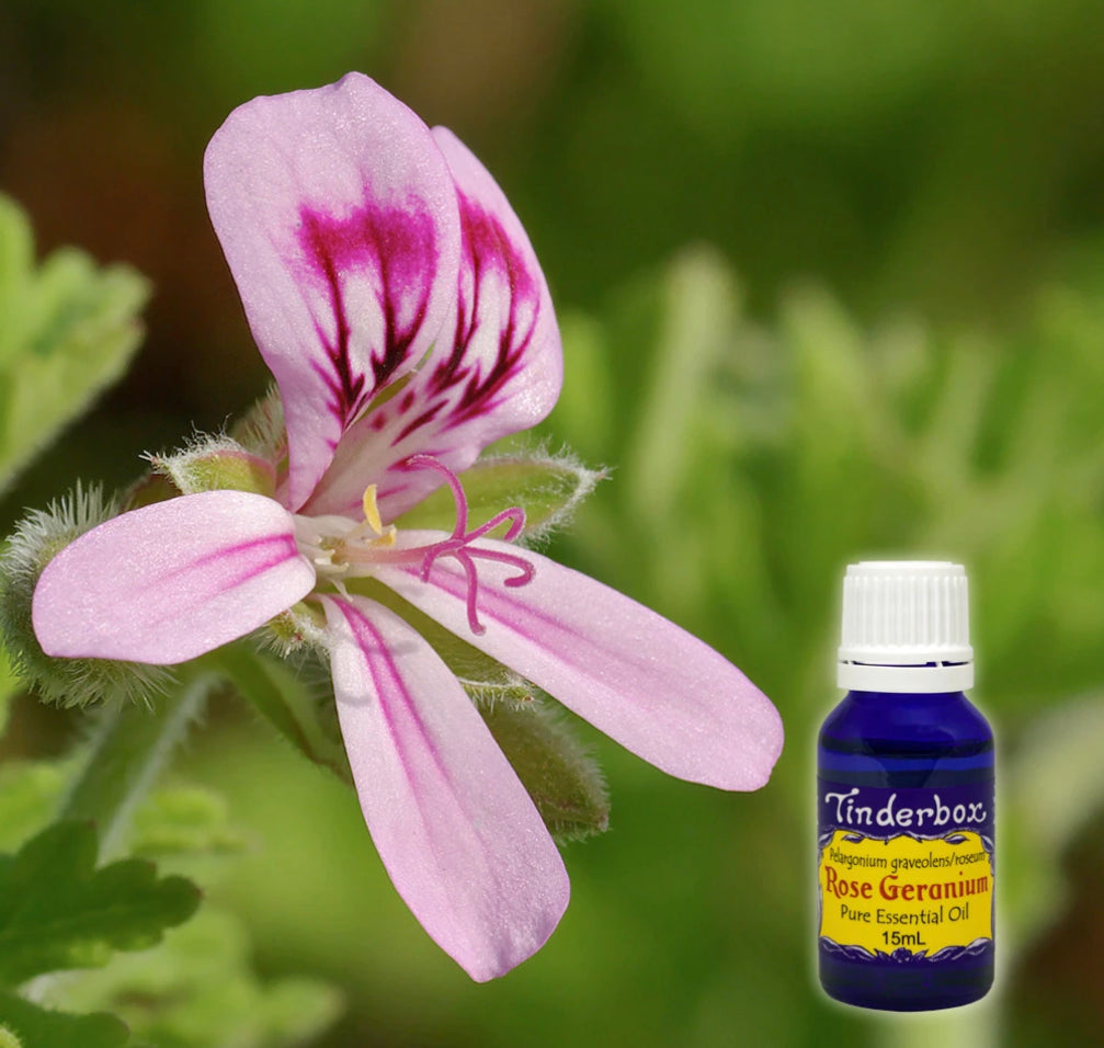 Rose Geranium Essential Oil 15mL